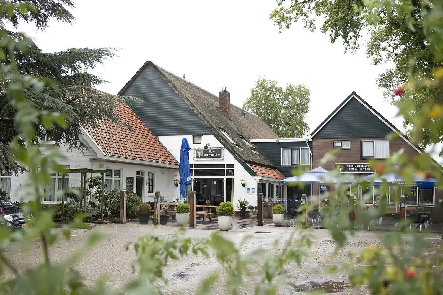 Wandelarrangement in Drenthe