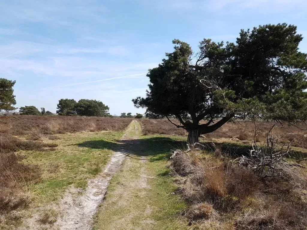 Experience Drenthe, a province full of beautiful nature